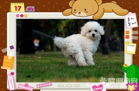 泰迪小<em>美女招聘老公</em>!不看后悔哦 ~ - 时尚生活 