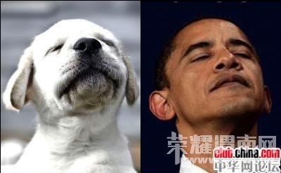 泰迪小<em>美女招聘老公</em>!不看后悔哦 ~ - 时尚生活 