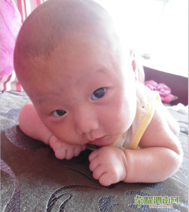 急!想知道咱渭南哪有专业给<em>婴儿刮头发</em>和胎毛