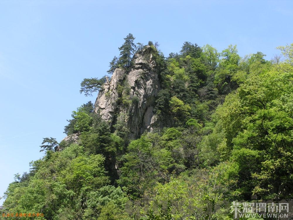 乐同行】4月6日清明踏青丰裕口万花山休闲一日游