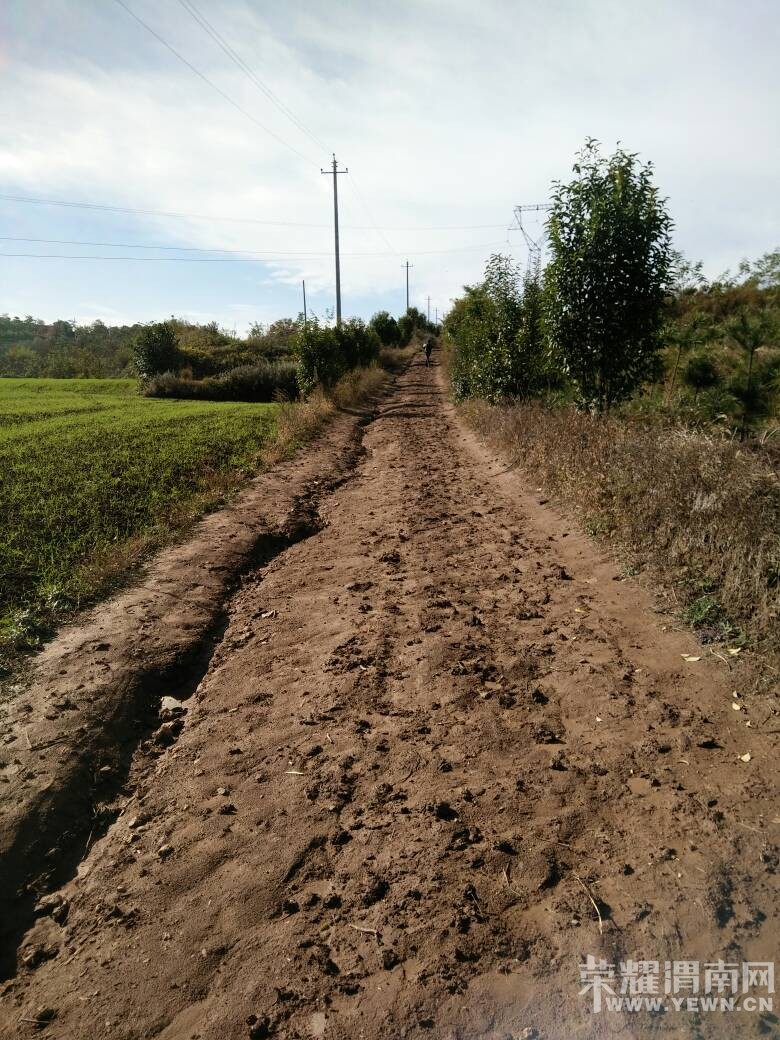 阳郭乡人口_河南大郭乡路西村人口