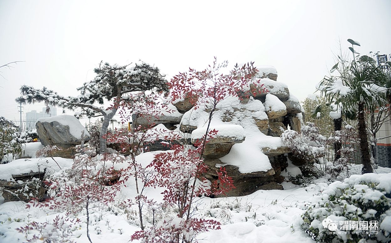 渭清路东侧的旱溪景观雪景美爆啦!旱溪景观白茫茫一片