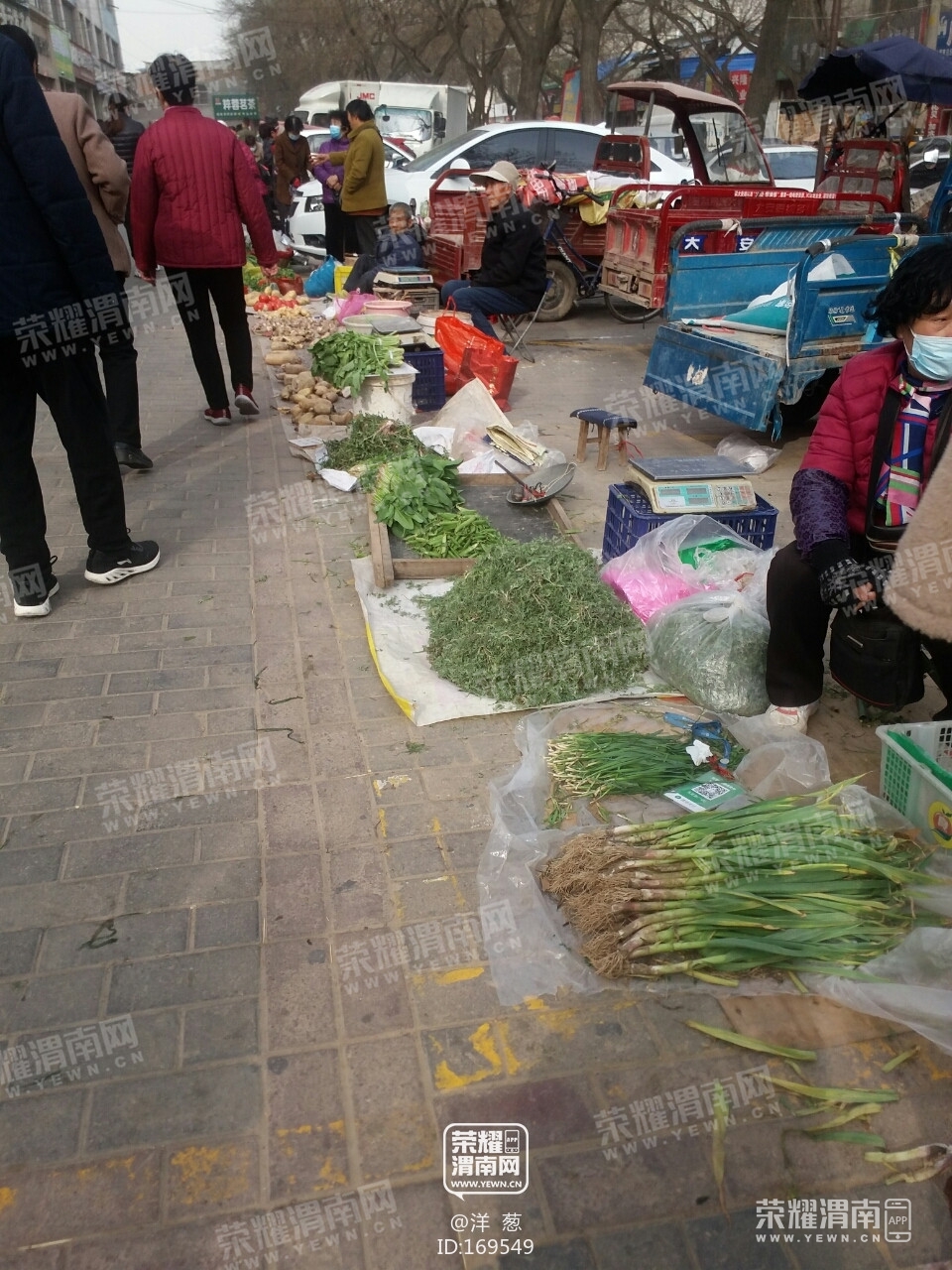 北塘早市上有人摆摊卖鹅蛋,看着挺稀奇!大家吃过鹅蛋吗?