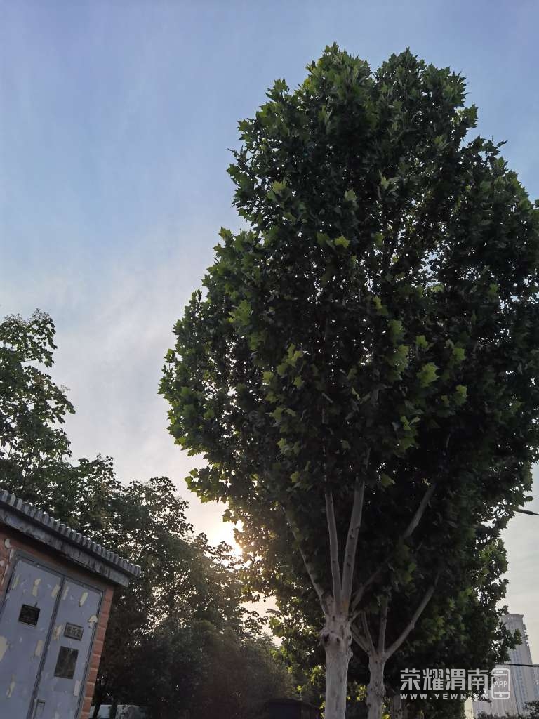 20250611133229front2_0_281479_FuEQ33EHcX32BQMZ7BNJ0ksCGJMp.jpg