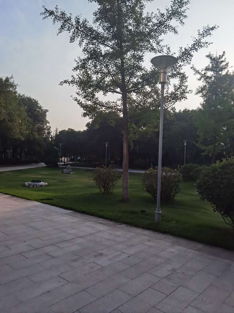 20250722035818front2_0_281479_FoC6zoUAYAN2CL_s6UVkaLVy7ZxY.jpg