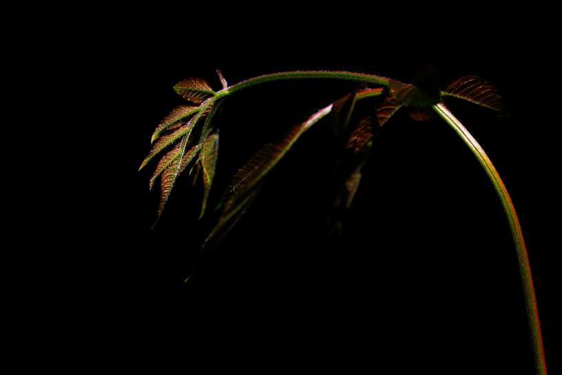 20250729213823front2_0_161040_Fj-e0bzc7czbWFGgv7MlSLDRQ-9z.jpg