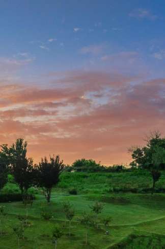 20250819200947front2_0_233519_Fg39GZfCgOM1jOEsVZirX1QInRh6.jpg