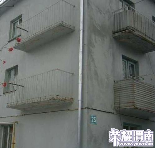 47559975.jpg