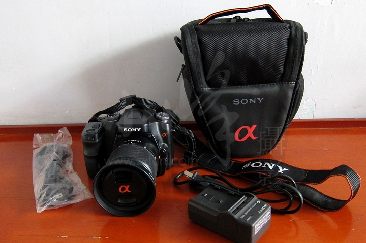 SONYa100-wldey.JPG