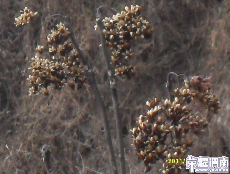 axsxasxa.jpg