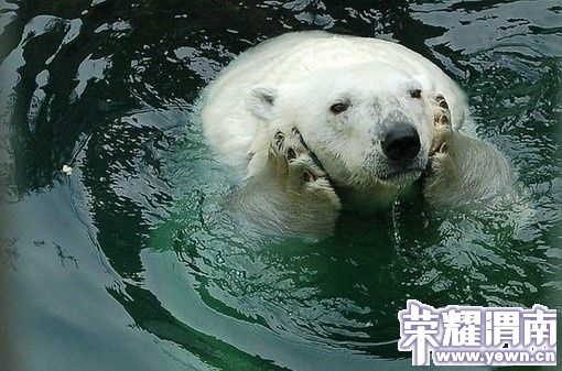 Ī������Ļ��Ī������Ļ���Ҳ����Ҳ���~.jpg