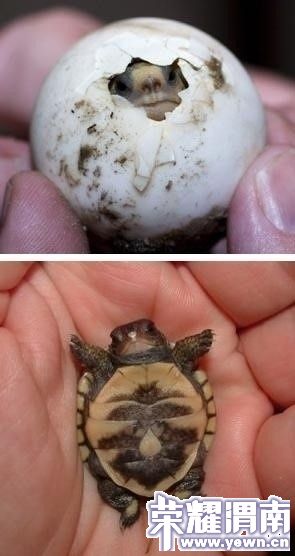 �ѵ�����Ǵ�˵�е����˵���.jpg