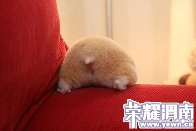 ��û������ȥ��һ�ŵĳ嶯....jpg
