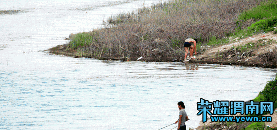 2.gif