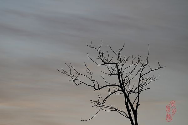 11111.jpg