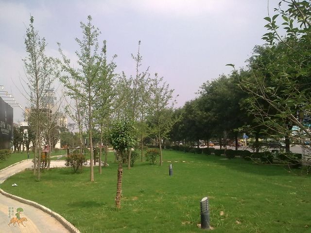 ͼ��0236.jpg