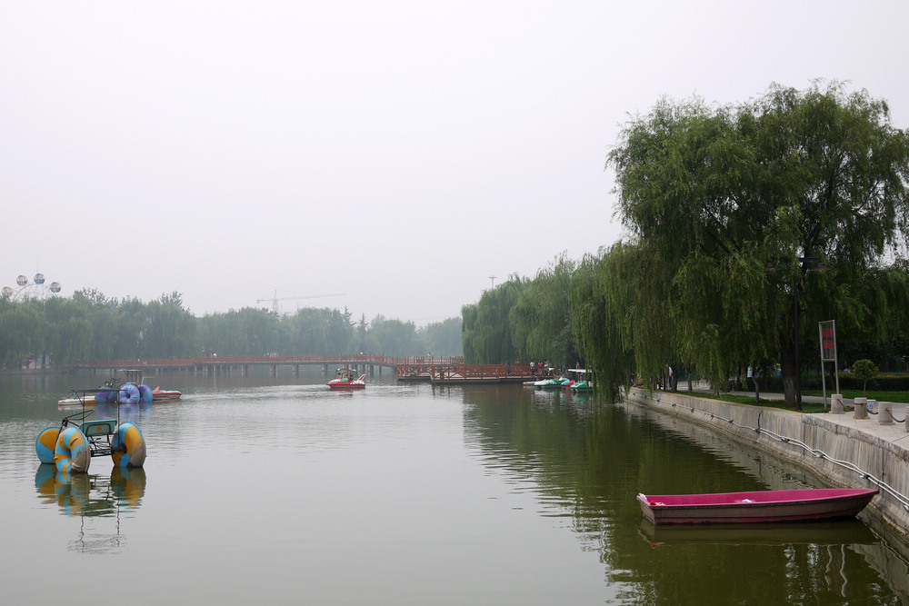 P1020176.jpg