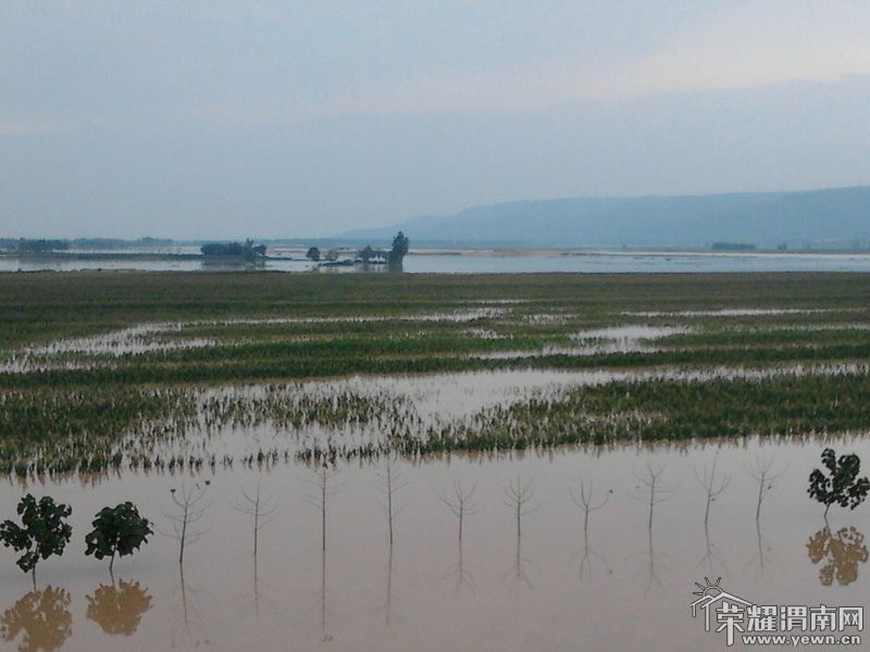 2011-09-19 16.13.53.jpg