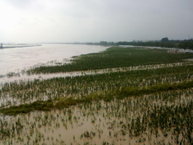 20110919235.jpg