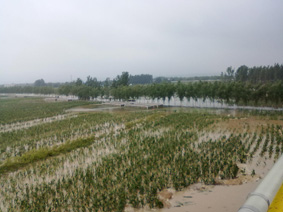 20110919237.jpg