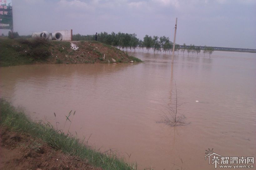 IMAG0095.jpg