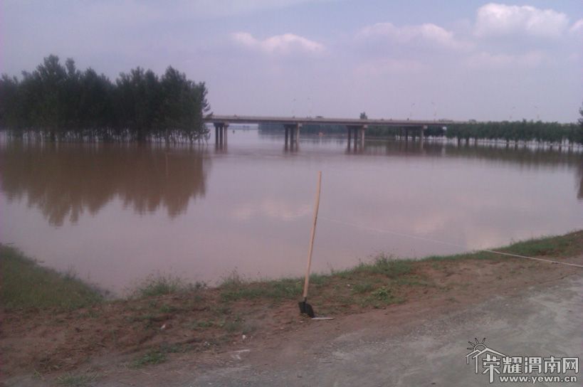 IMAG0105.jpg