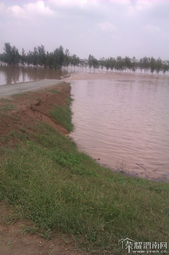 IMAG0106.jpg
