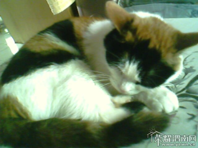 IMG0114A.jpg