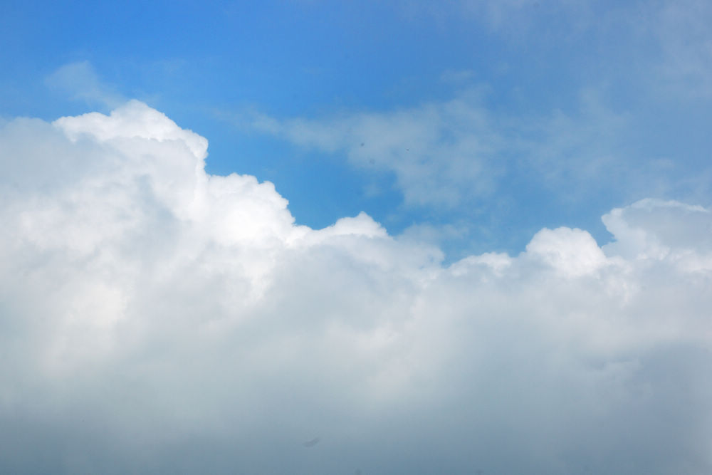 DSC_0223A.jpg