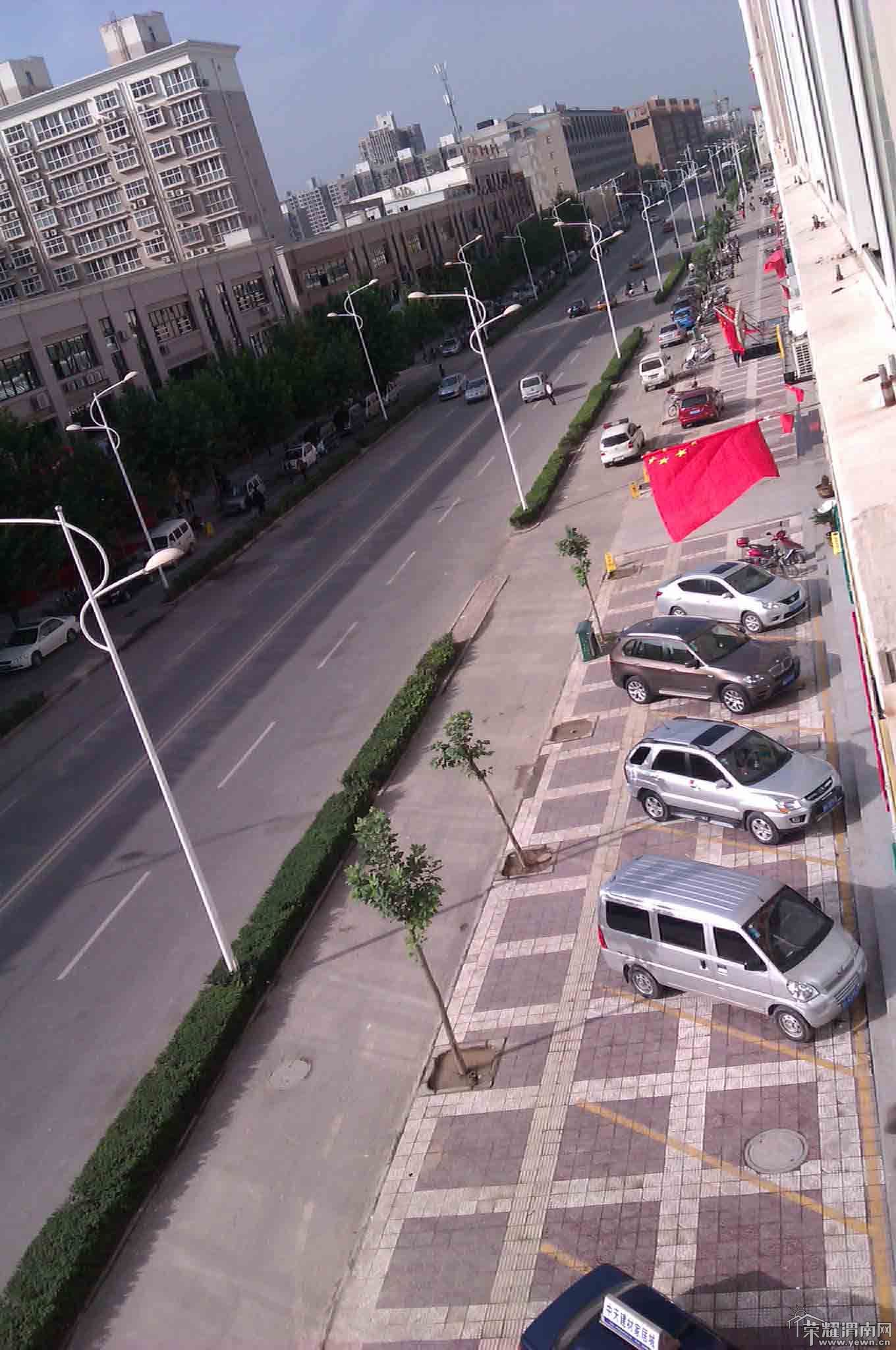 IMAG0113.jpg