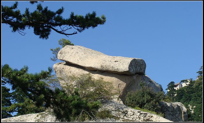 DSC07021.JPG
