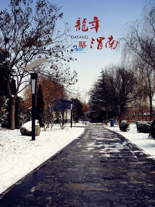 IMG_6882Z.jpg