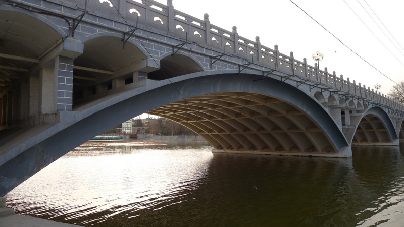 P1000660.JPG