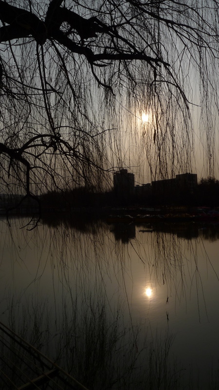 P1000665.JPG