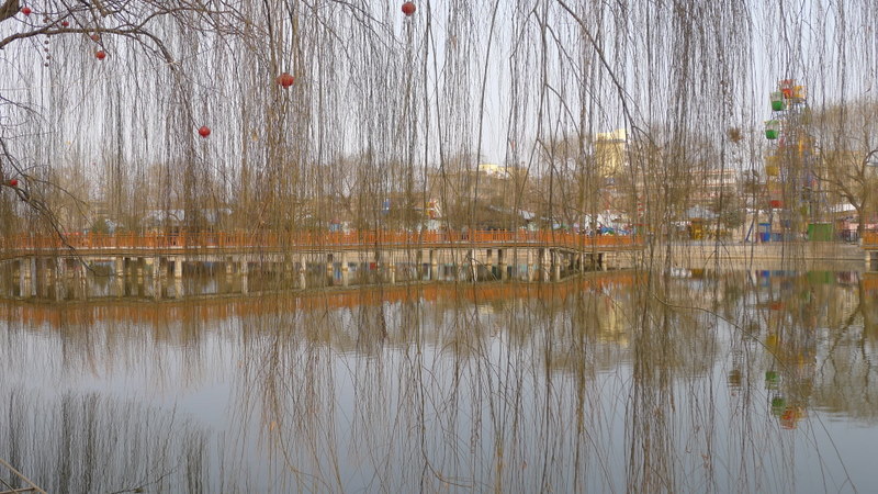 P1000666.JPG