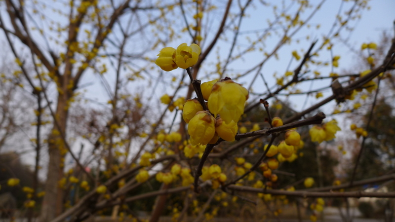 P1000669.JPG