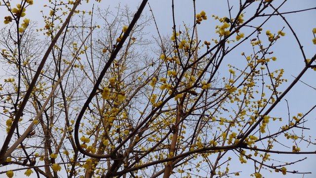 P1000670.JPG