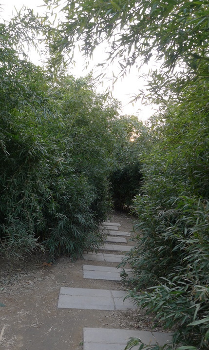 P1000675.JPG