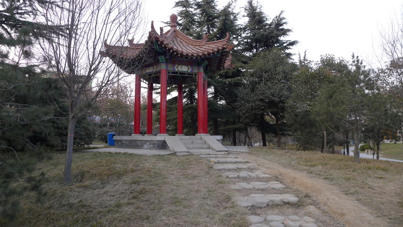 P1000676.JPG