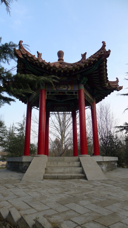 P1000678.JPG