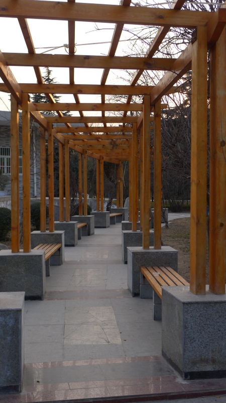 P1000684.JPG