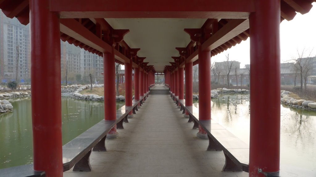 P1000720.JPG