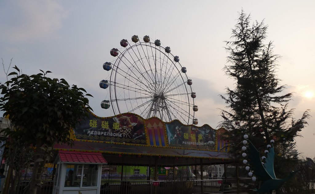 P1000734.JPG