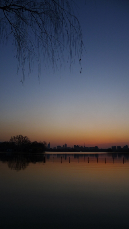 P1000781.JPG