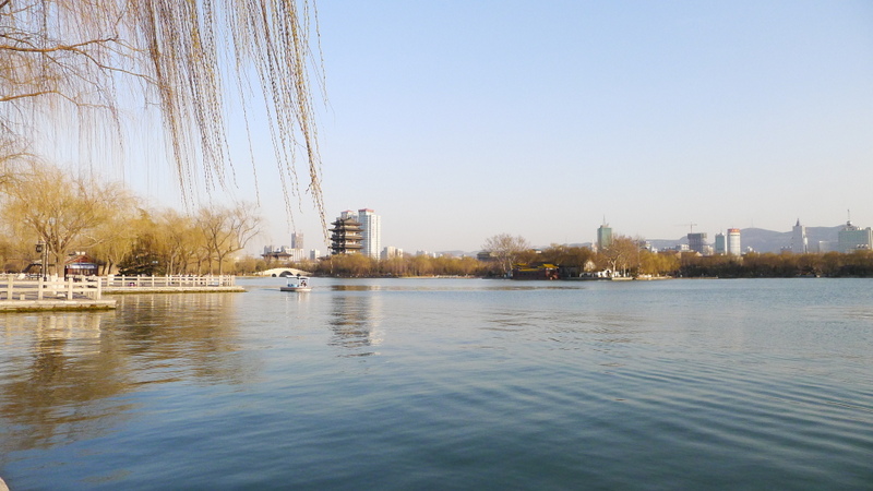 P1000744.JPG