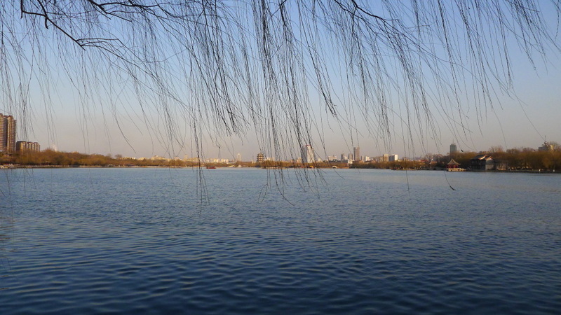 P1000753.JPG
