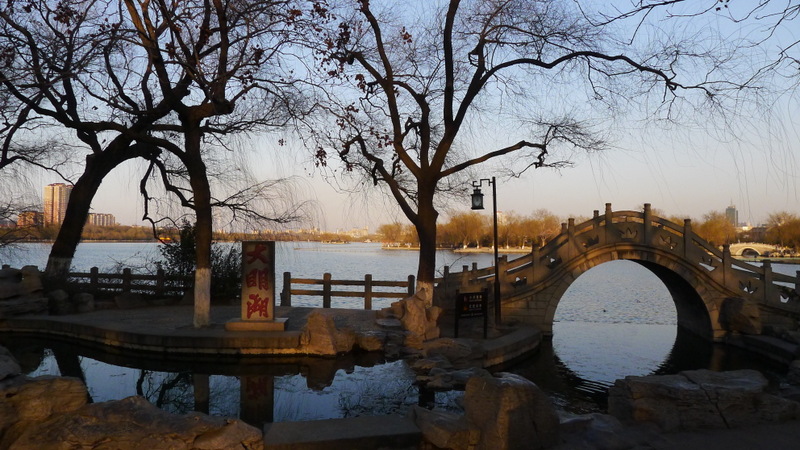 P1000756.JPG