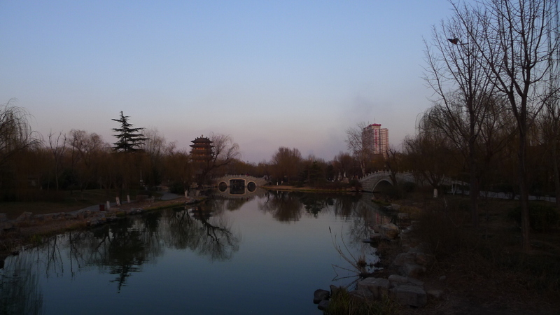 P1000771.JPG