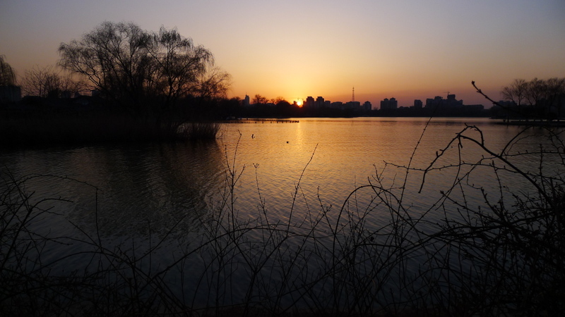 P1000772.JPG