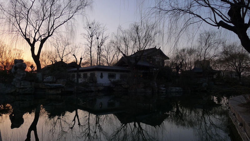 P1000775.JPG